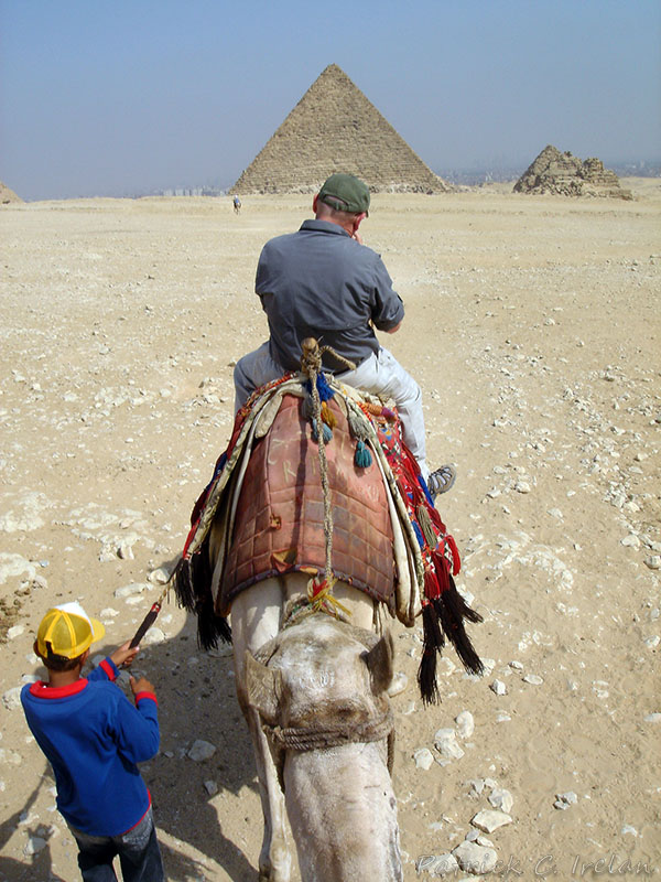 Camel Rider, Giza Necropolis, Egypt