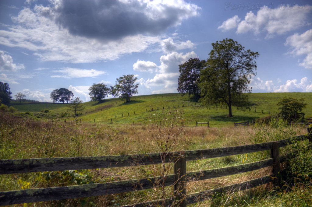 Virginia Field in Many Forms | Photographs and Such