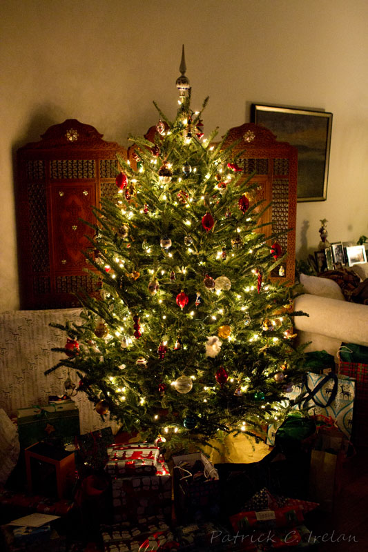 Christmas Tree | Photographs and Such